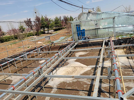 临沂沂南某食品厂100方每天开云手机客户端项目